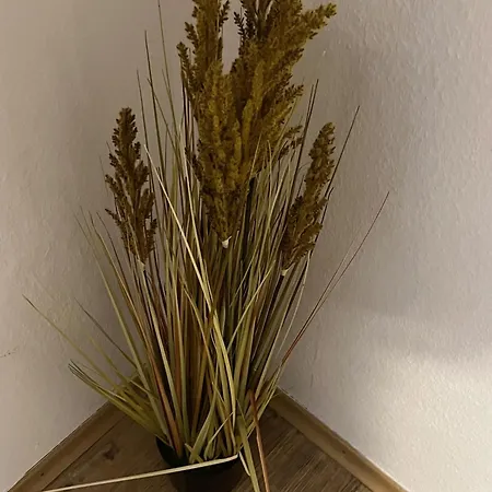 Πανσιόν Gaestehaus Europa Rust