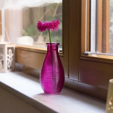 Maison d'hôtes Gaestehaus Europa Rust