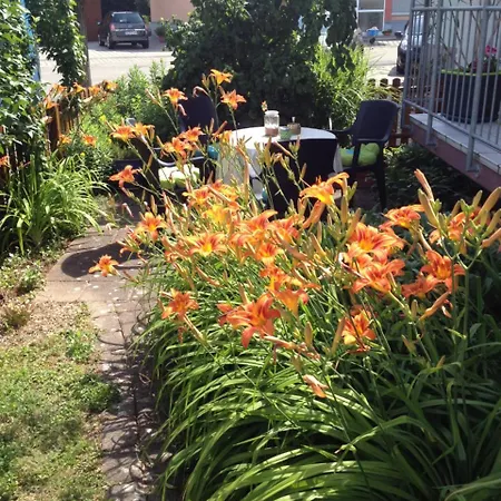 Gaestehaus Europa 4* Rust