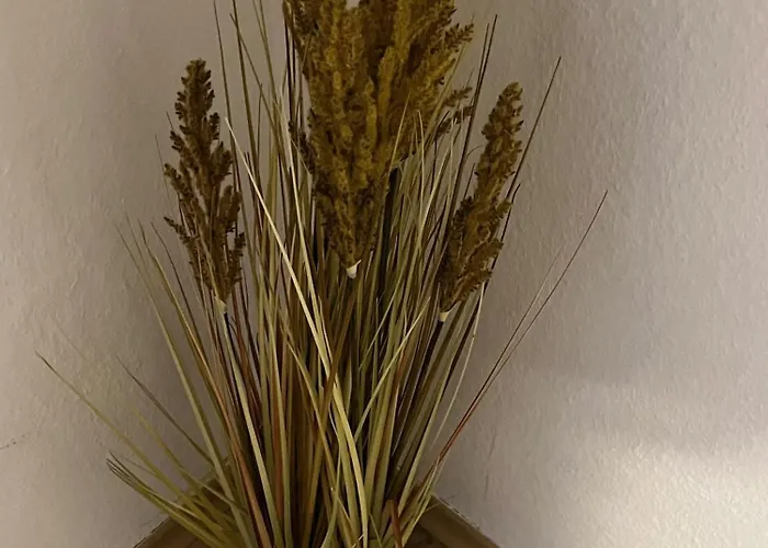 Vendégház Gaestehaus Europa Rust