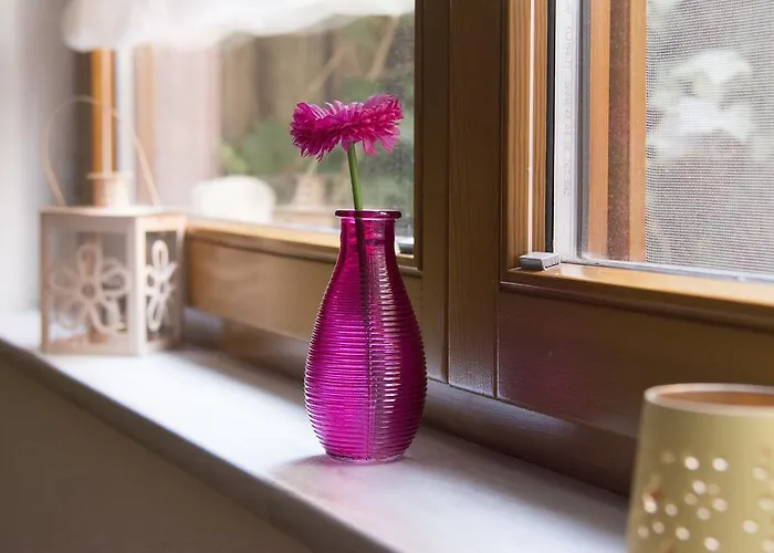 Vendégház Gaestehaus Europa Rust