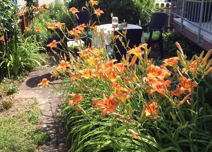 Gaestehaus Europa 4* Rust